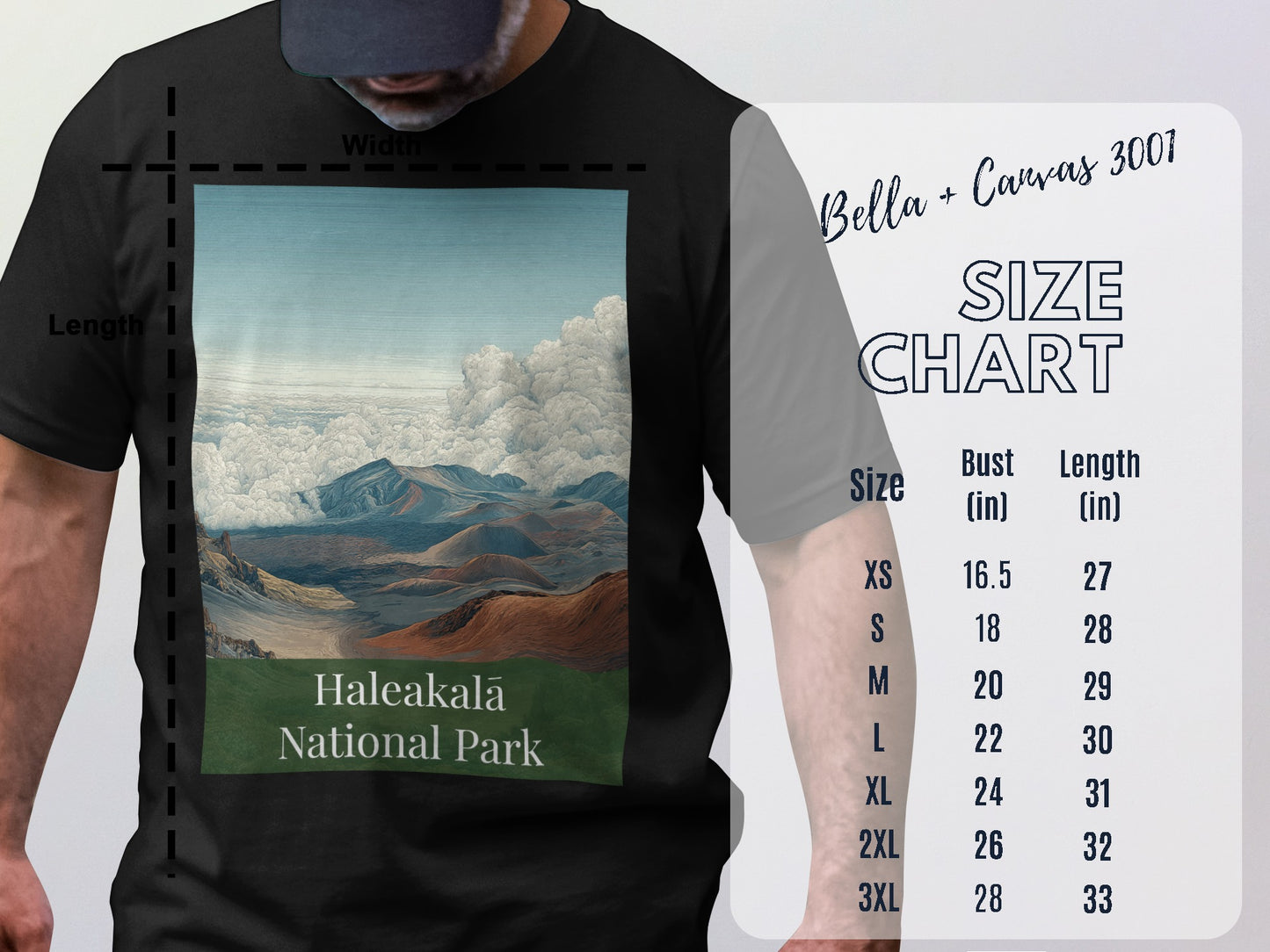 Haleakalā National Park Bella + Canvas 3001 T-Shirt