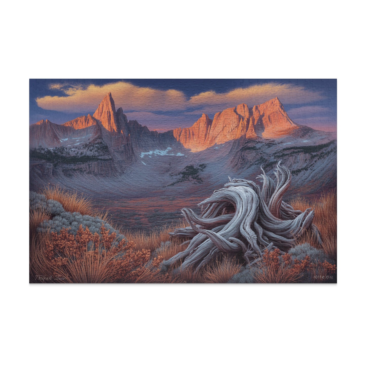 A gnarled gray tree stump rests in the foreground with mountain peaks lit by sunrise behind it.