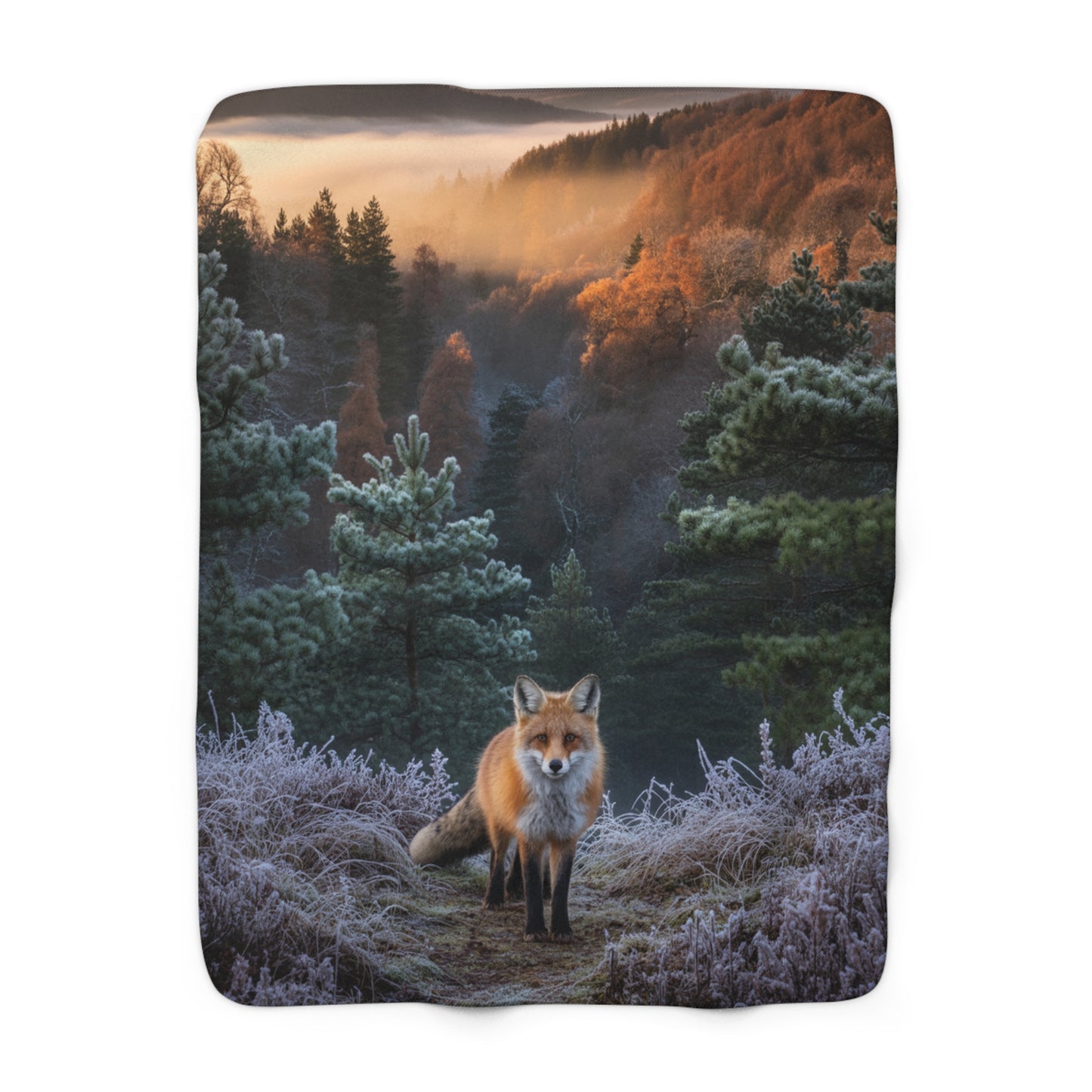 Bold Print Sherpa Blanket 60x80 | Statement Throw Blanket | Unique Home Gift