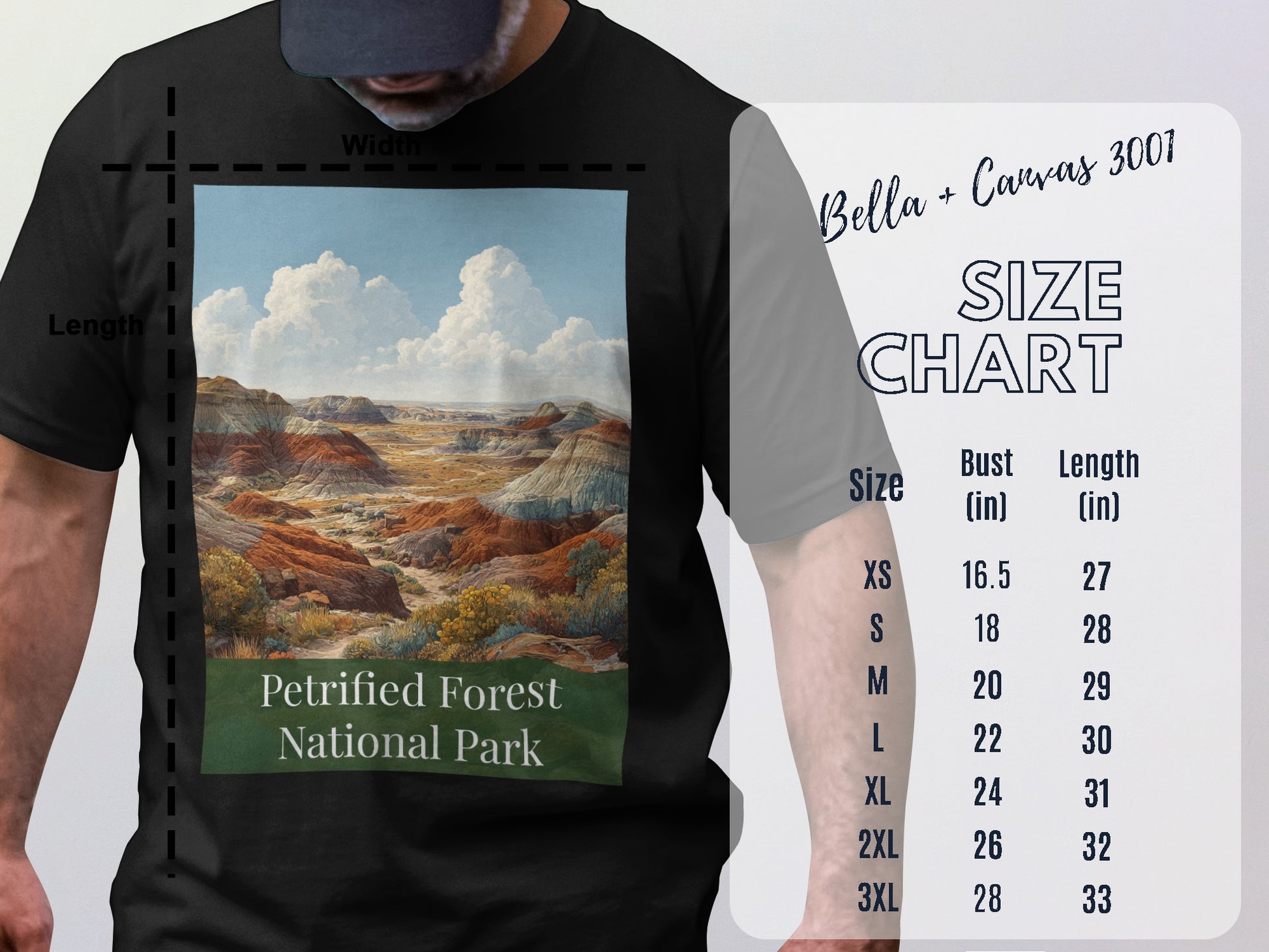 Petrified Forest National Park Graphic T-shirt