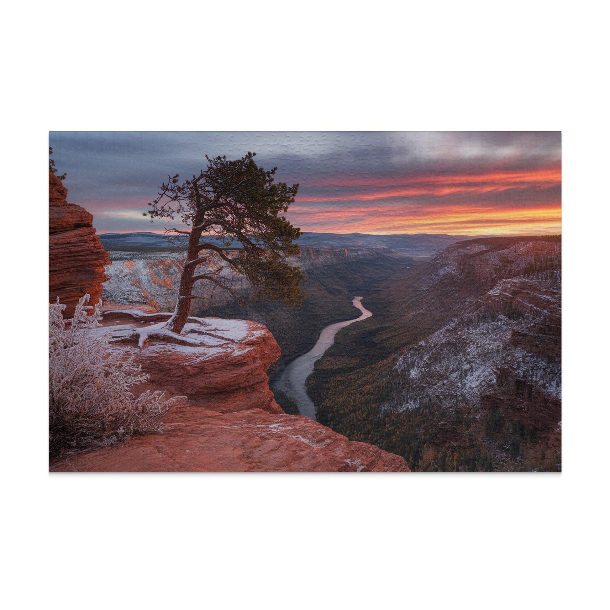 Pine tree on cliff overlooking river canyon at sunrise with frosty foliage.