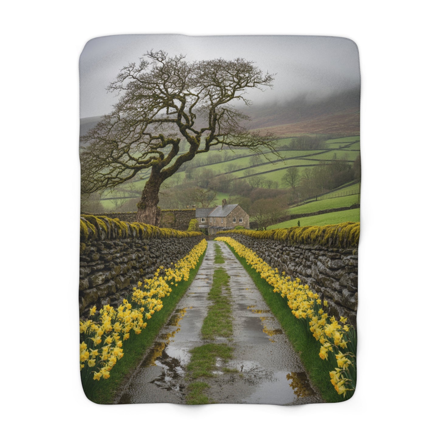 English Countryside Sherpa Blanket — Daffodil Lane & Misty Farmhouse Landscape
