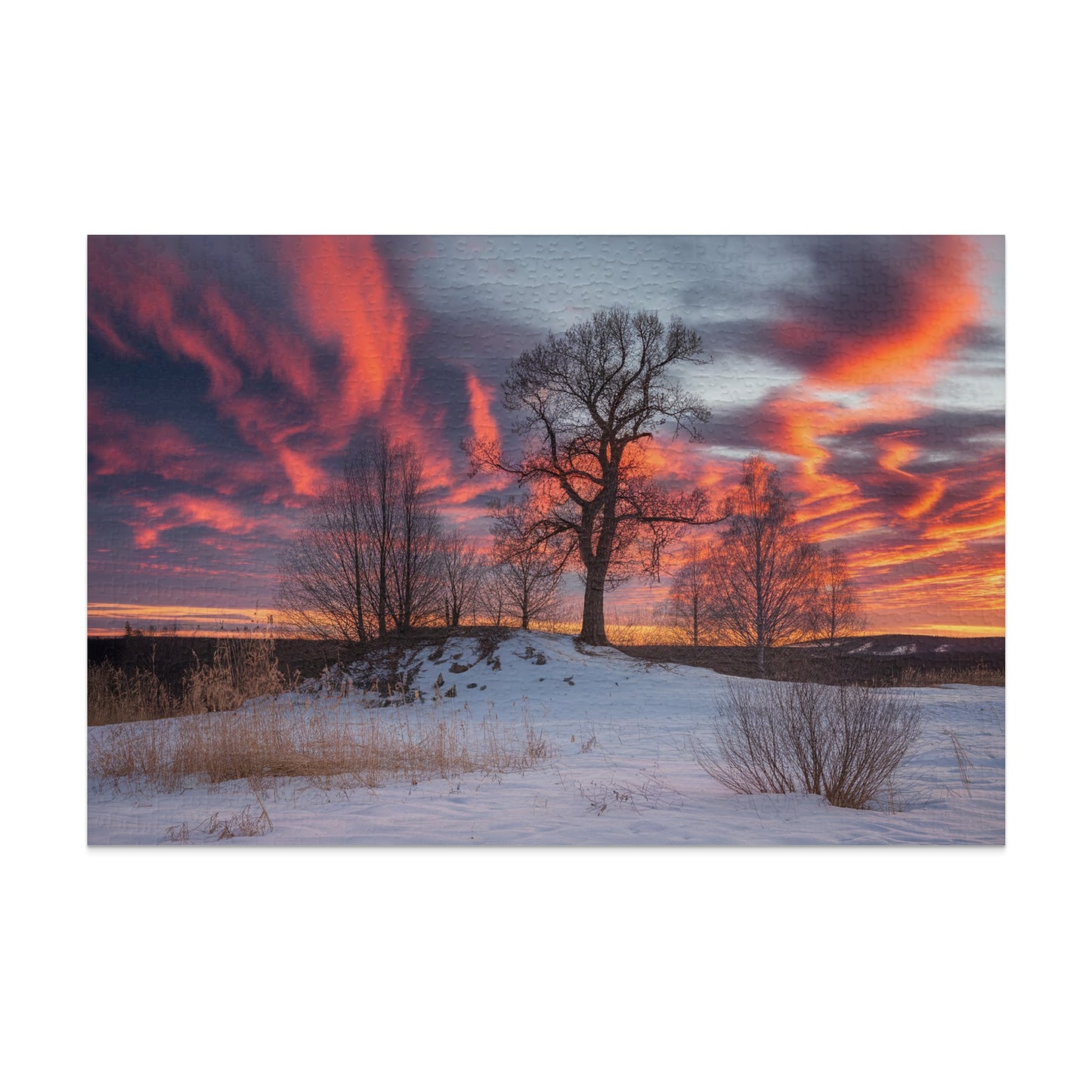 Winter landscape with bare trees against a fiery sunset sky.