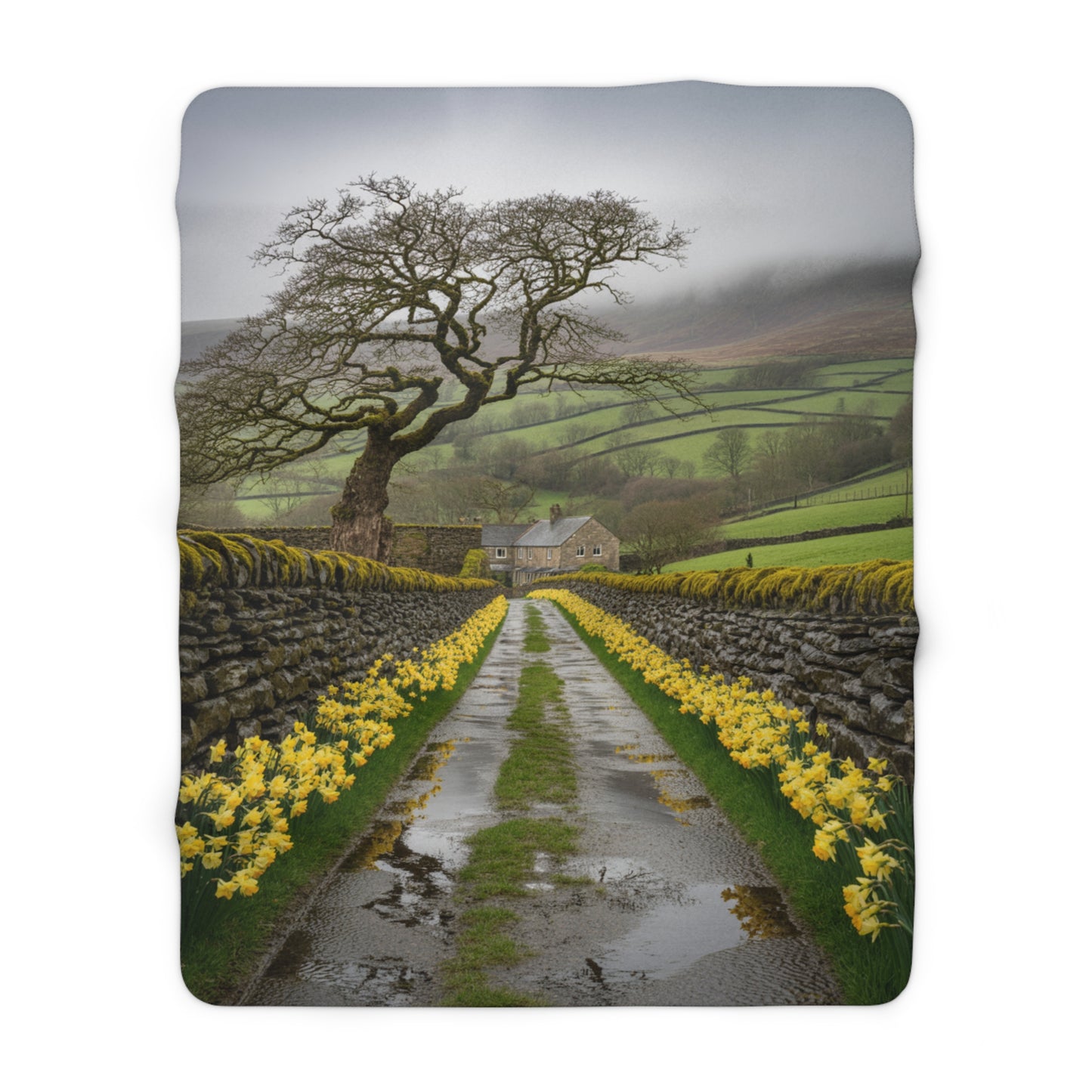 English Countryside Sherpa Blanket — Daffodil Lane & Misty Farmhouse Landscape