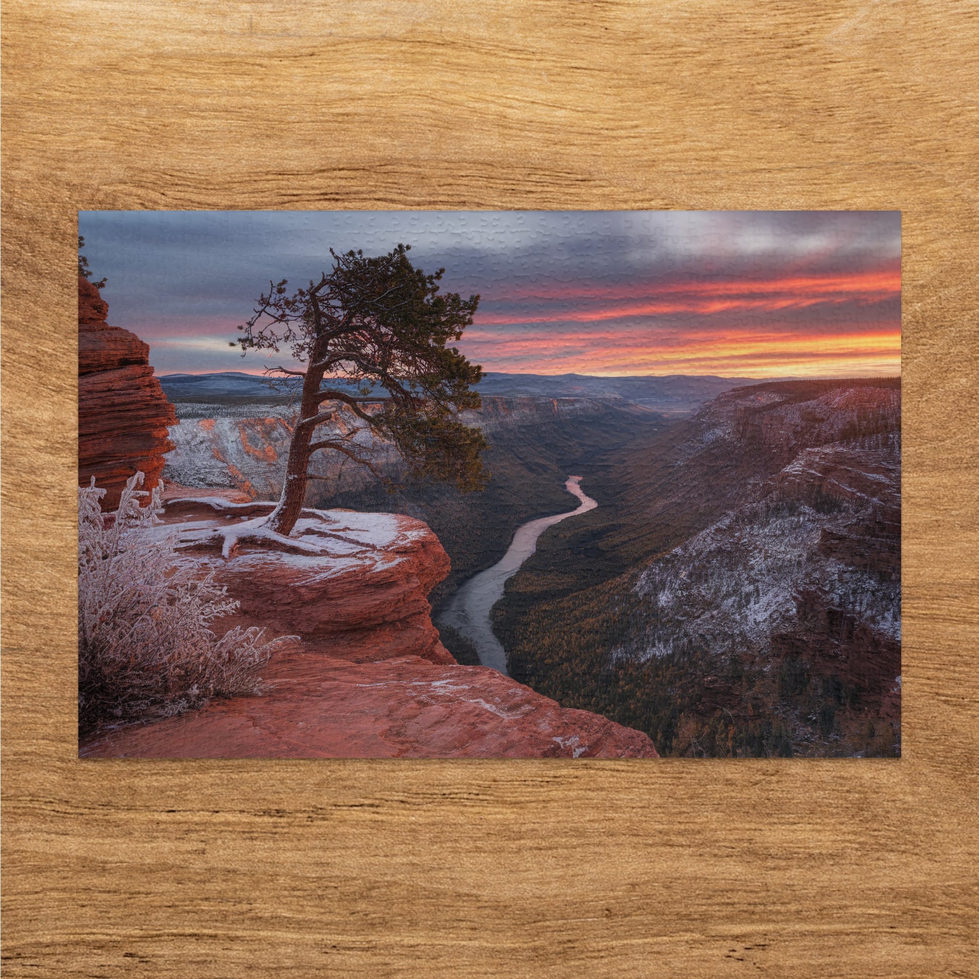 Pine tree on cliff overlooking canyon with river and sunset sky.