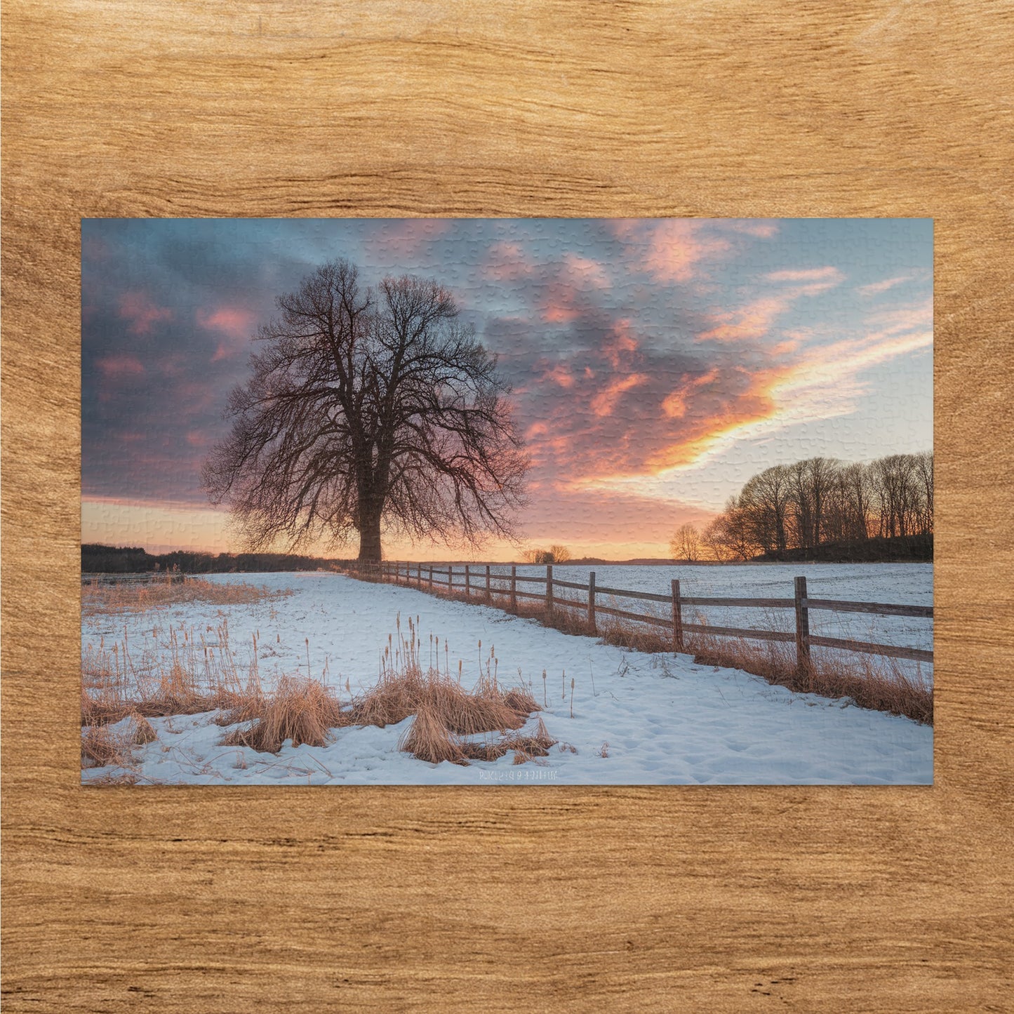 Bare tree in a snowy field with a wooden fence and a colorful sunset sky.
