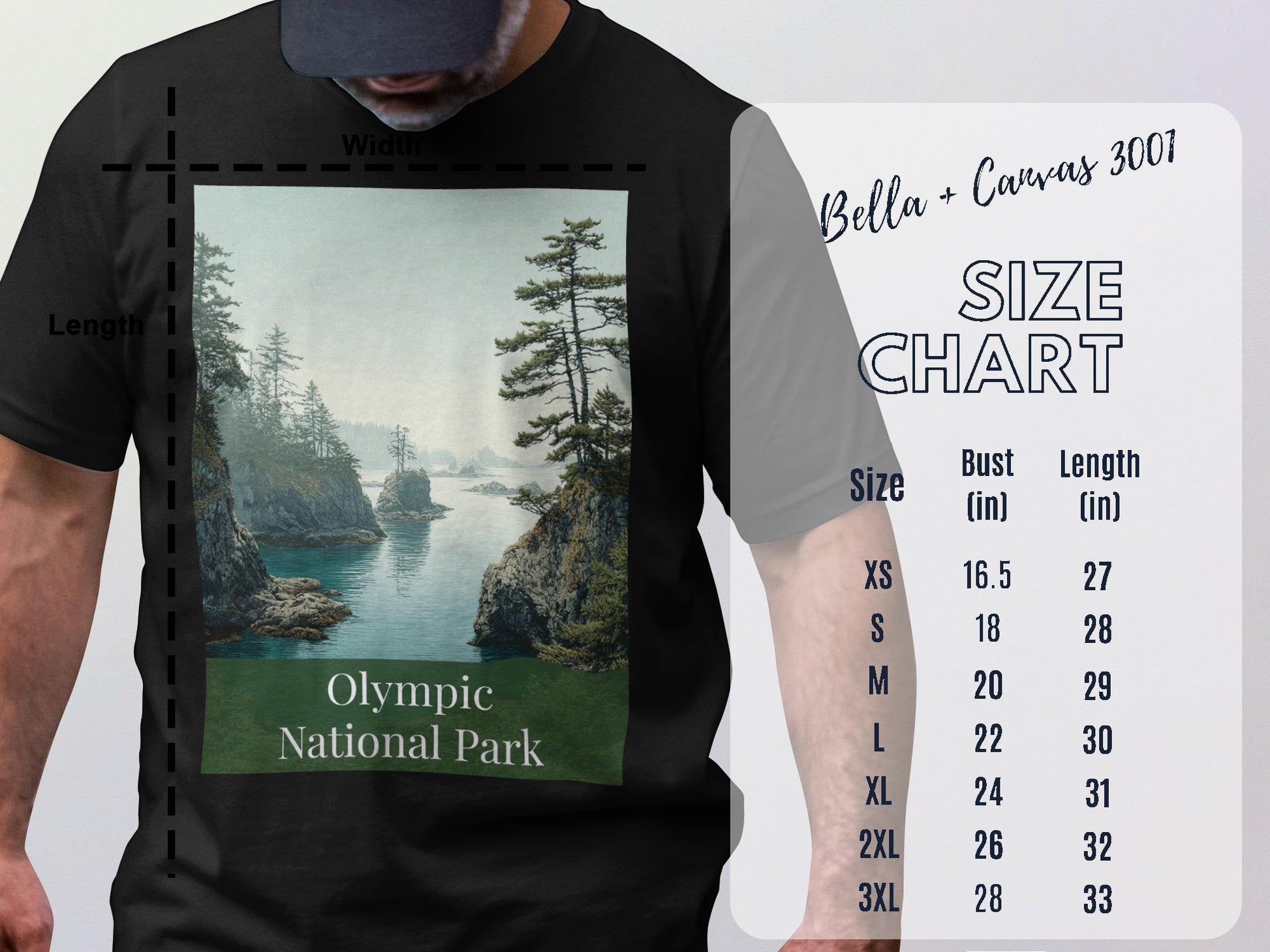 Olympic National Park graphic t-shirt design