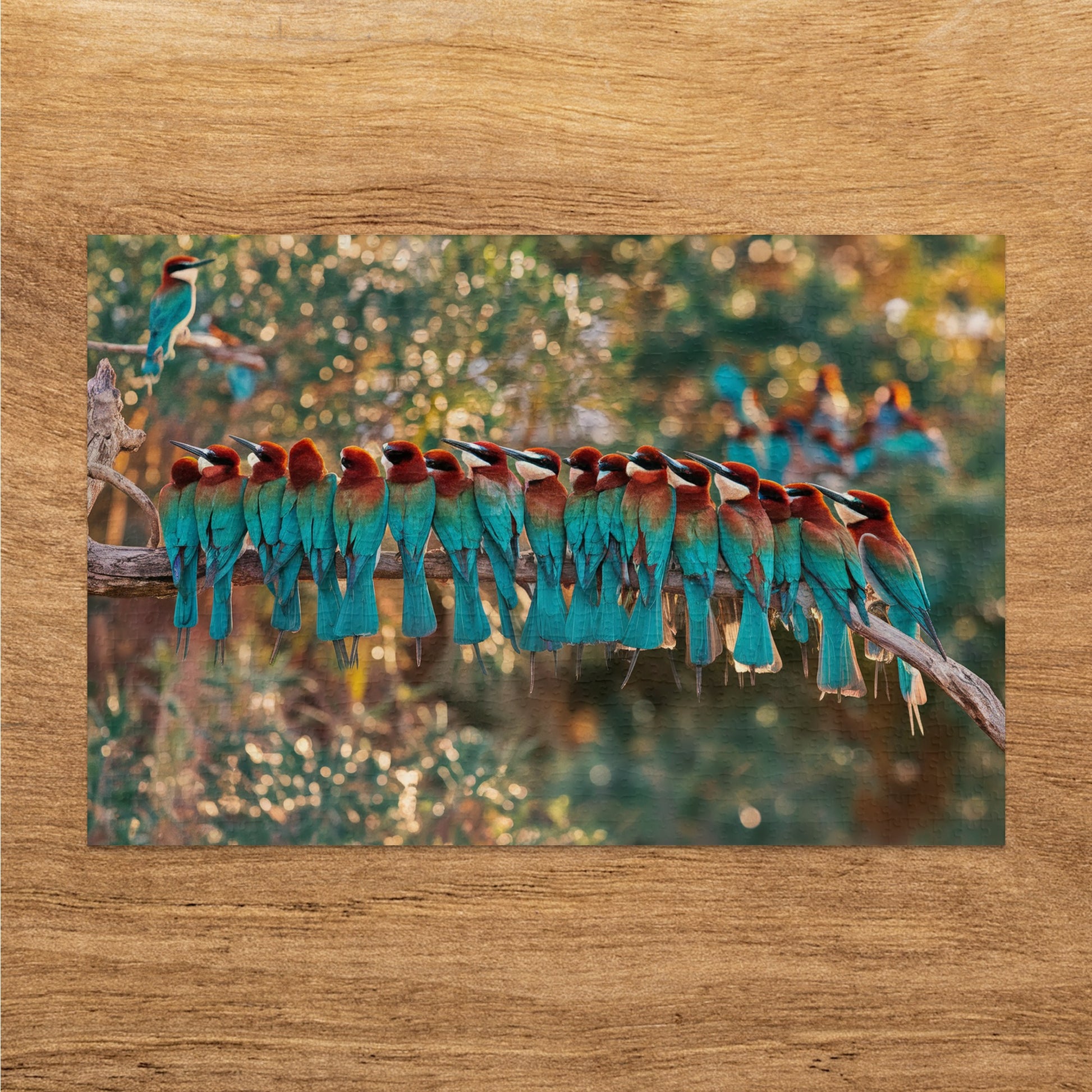 Group of colorful bee-eater birds perched on a branch with bokeh background.