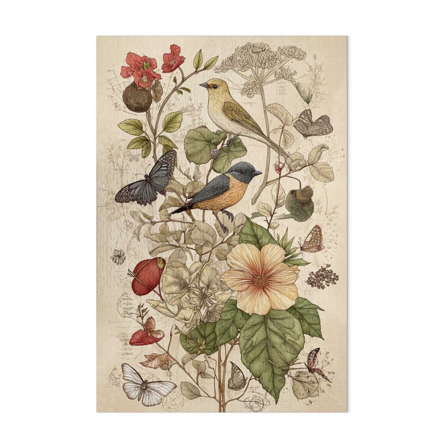 Vintage Botanical Bird and Butterfly Wall Art Print