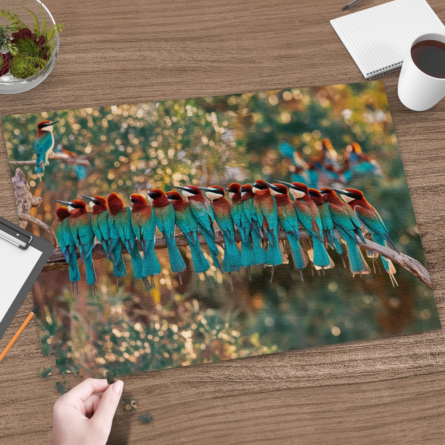 Line of colorful bee-eaters perched on a branch with blurred green foliage background.