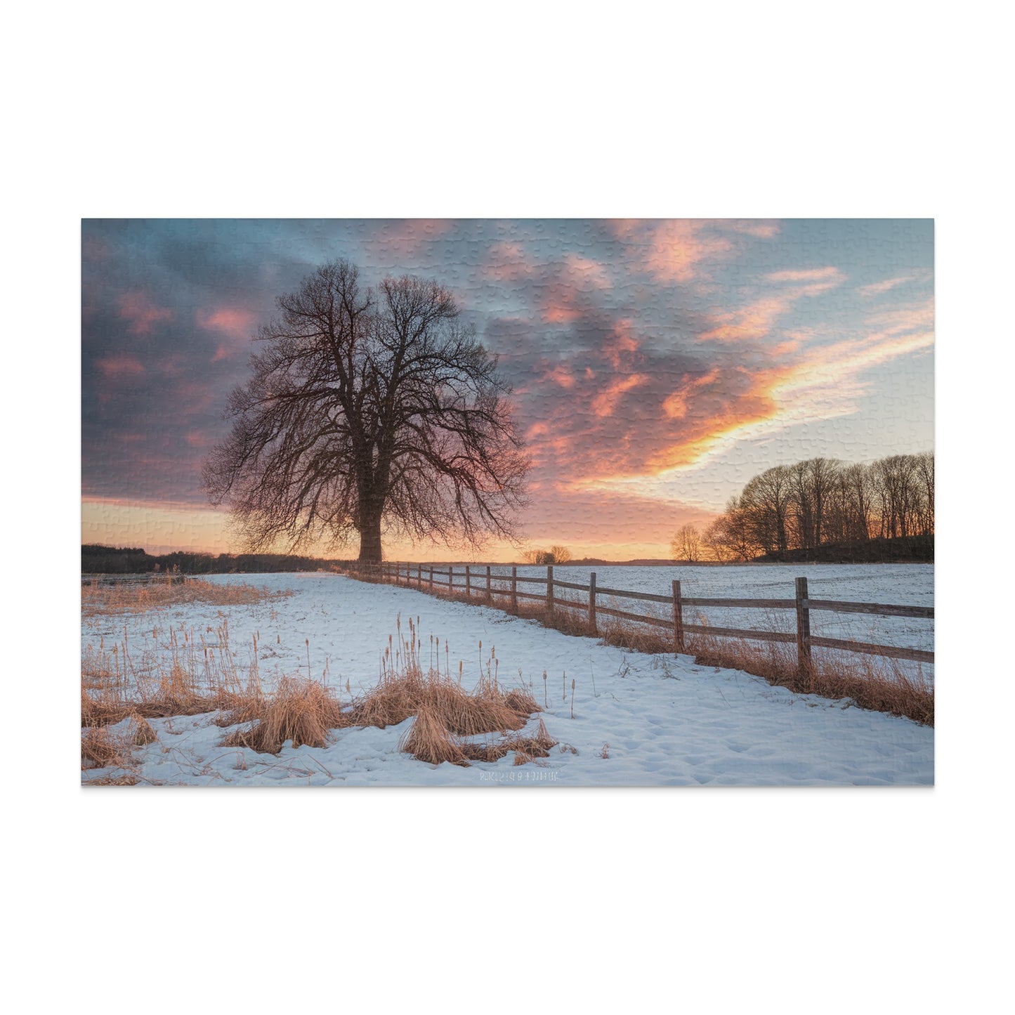 Snowy field with bare tree, wooden fence, and dramatic sunset sky.