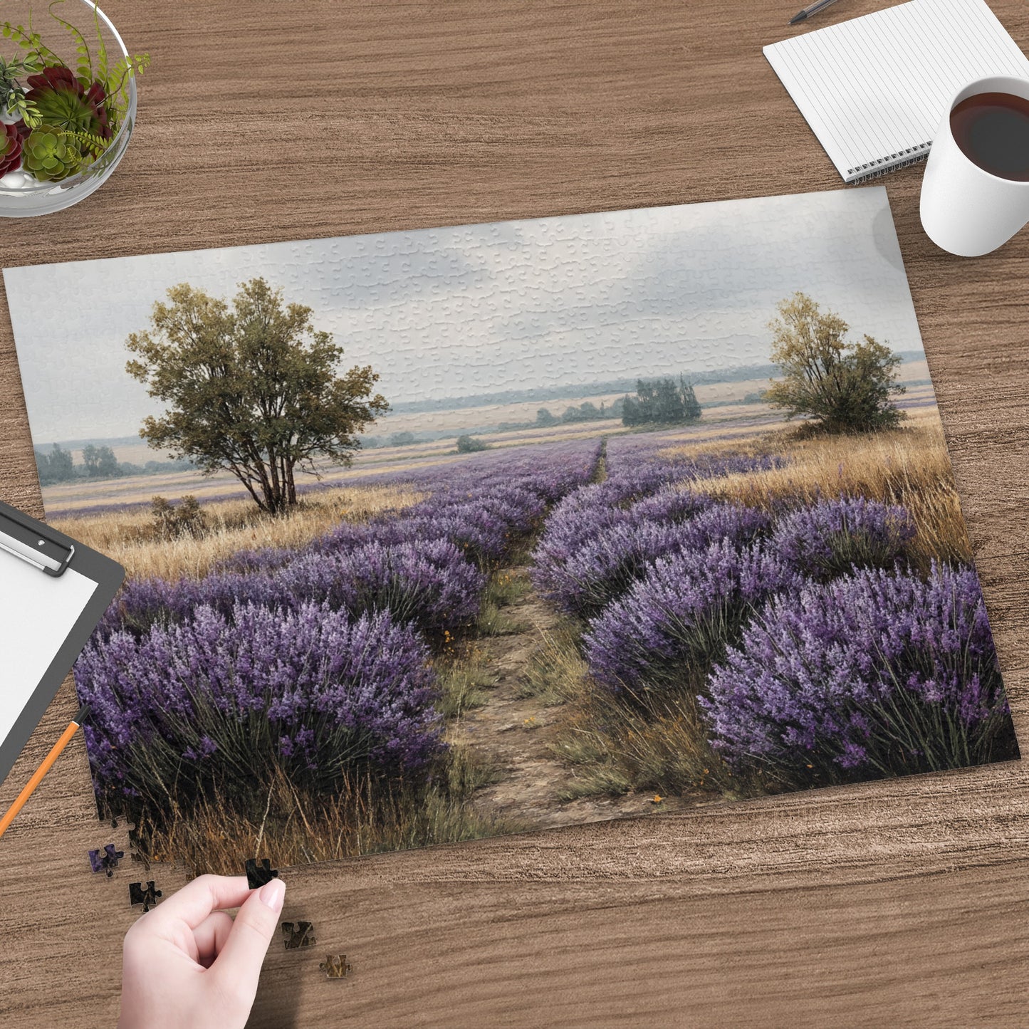 Pathway through Lavender Field jigsaw puzzle