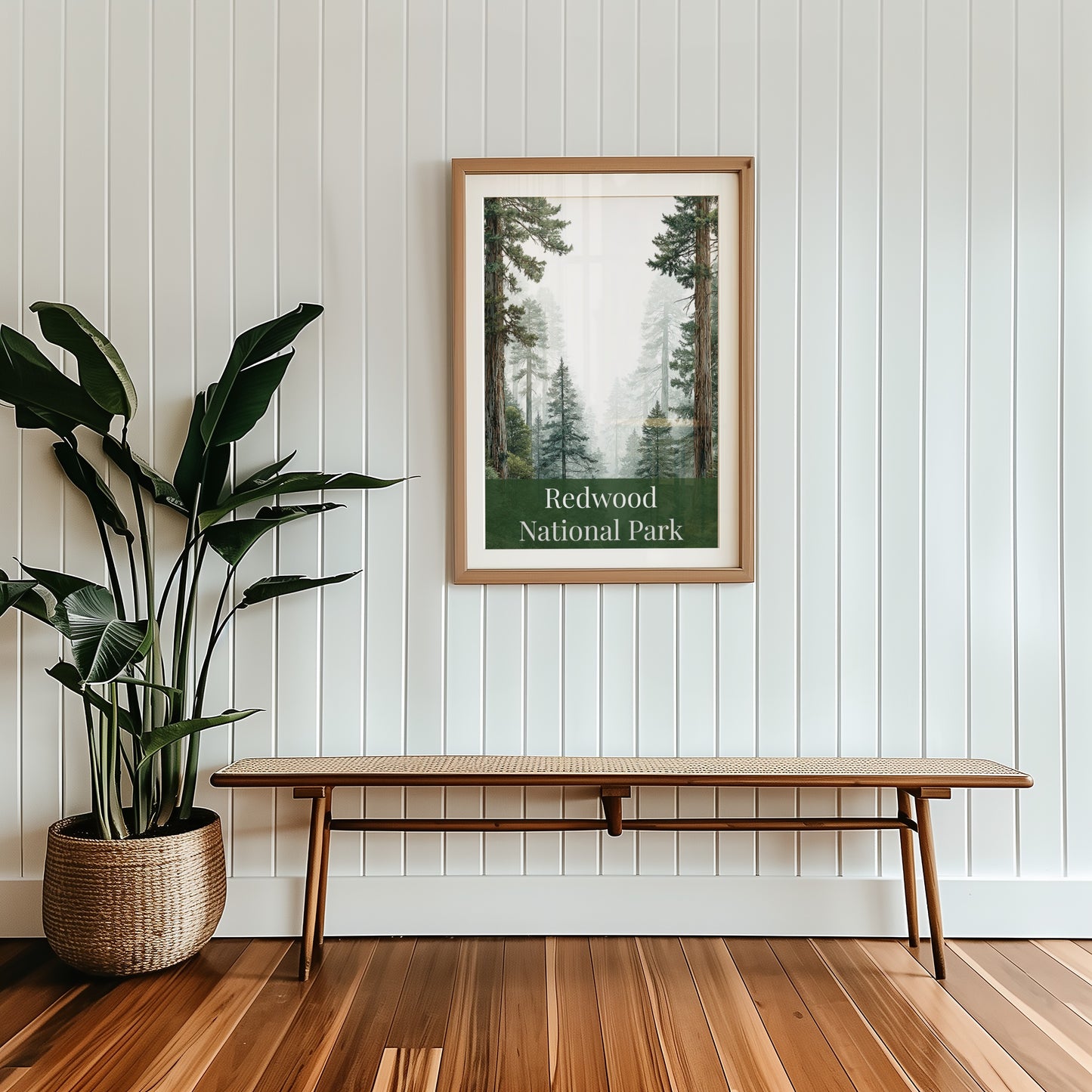 Redwood National Park Poster Art Print Forest Scene