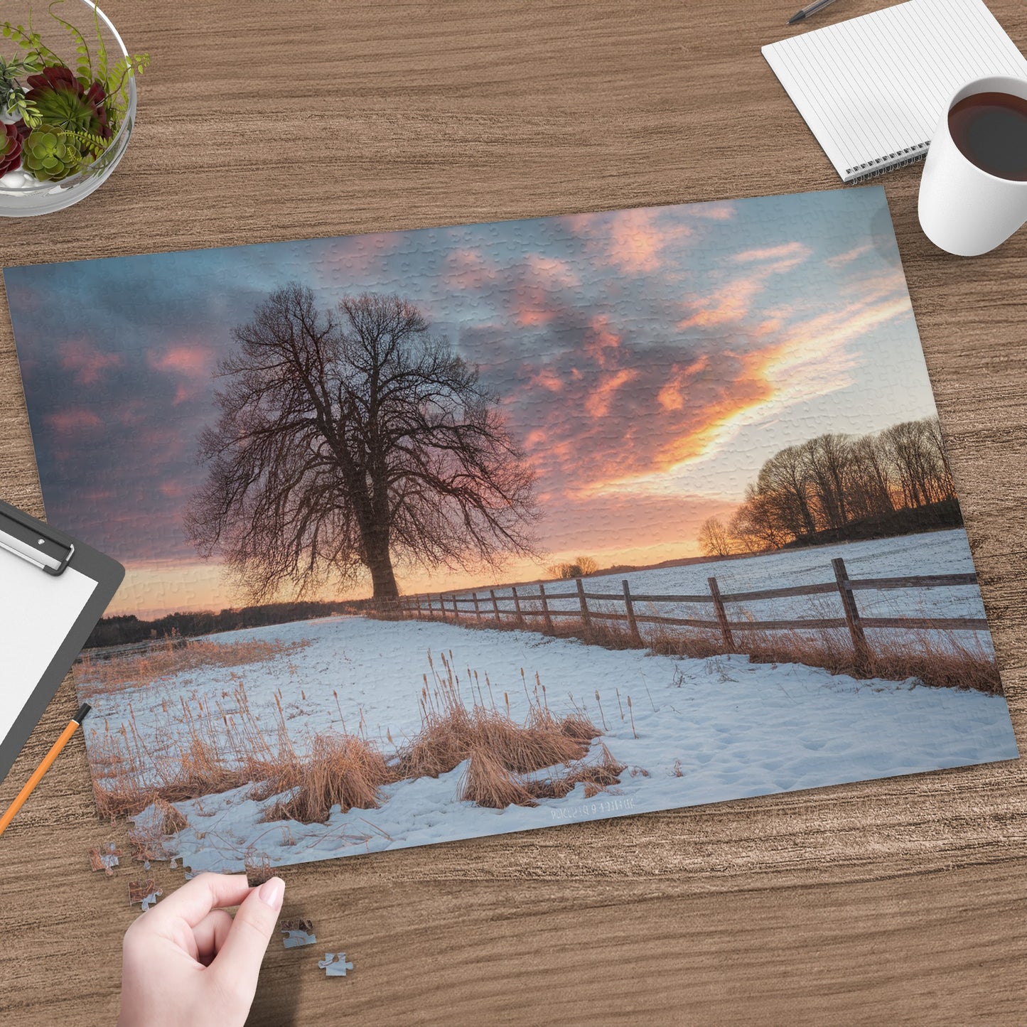 Winter sunset over a snow-covered field with a large tree and wooden fence.