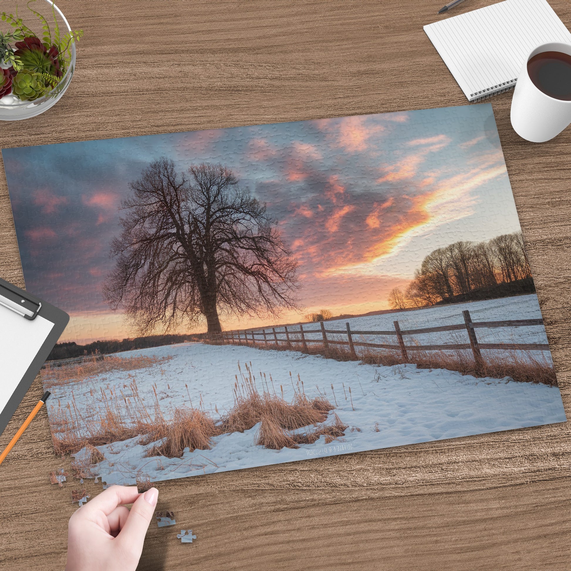 Winter sunset over a snow-covered field with a large tree and wooden fence.