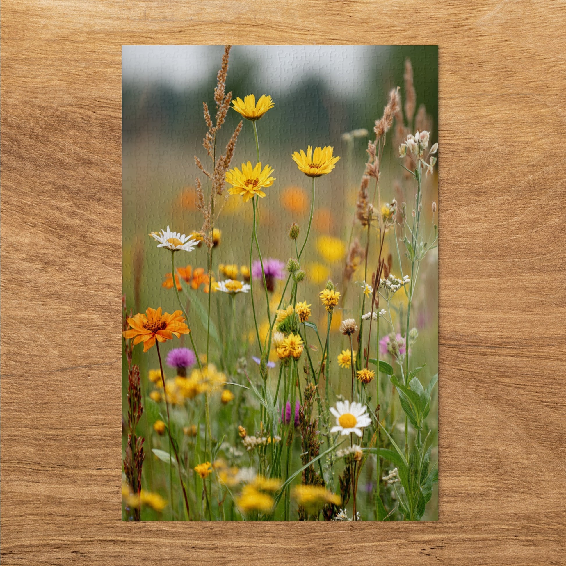 Vibrant Wildflower Meadow Scene Botanical Art Print