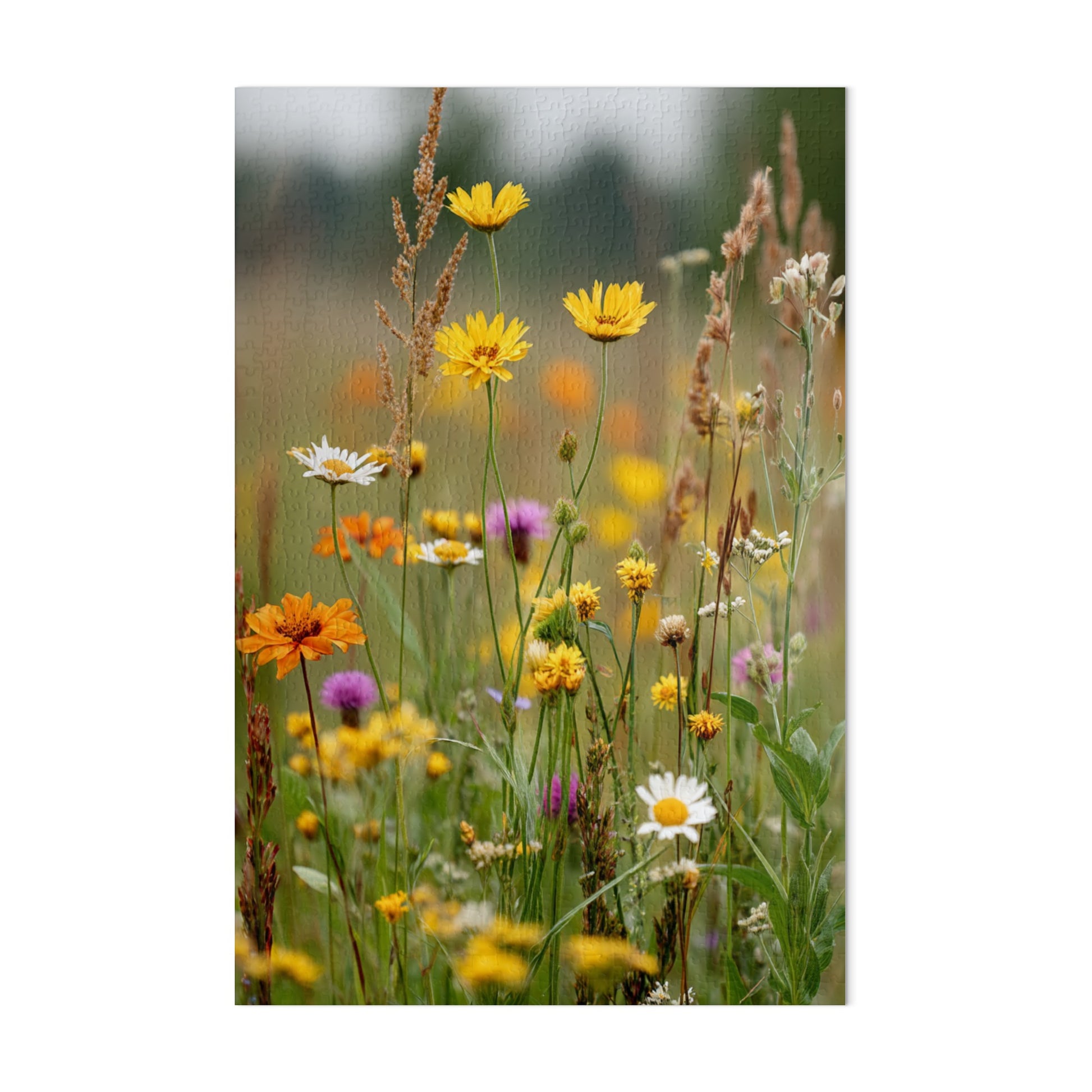 Wildflower Meadow Bloom Puzzle Gardening Fun