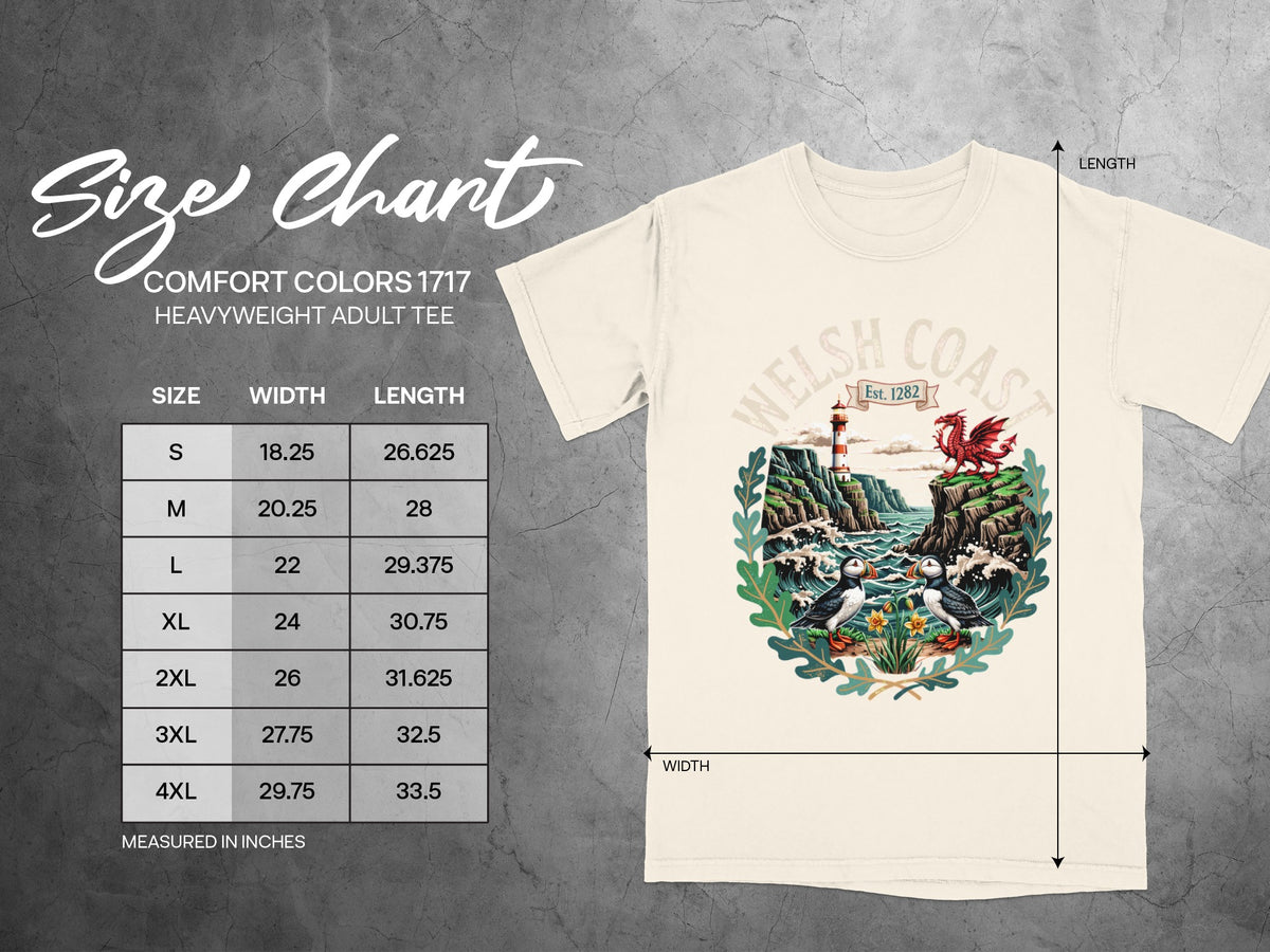 Size chart for Comfort Colors 1717 heavyweight adult tee with measurements in inches.