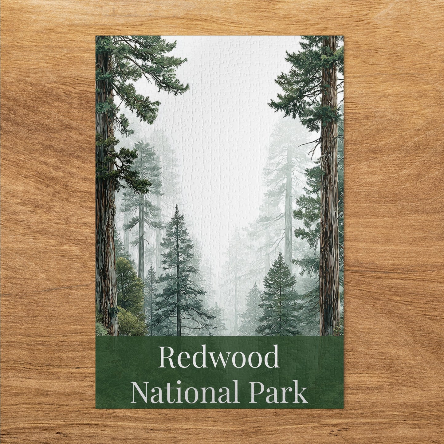 Redwood National Park Forest Landscape scenery