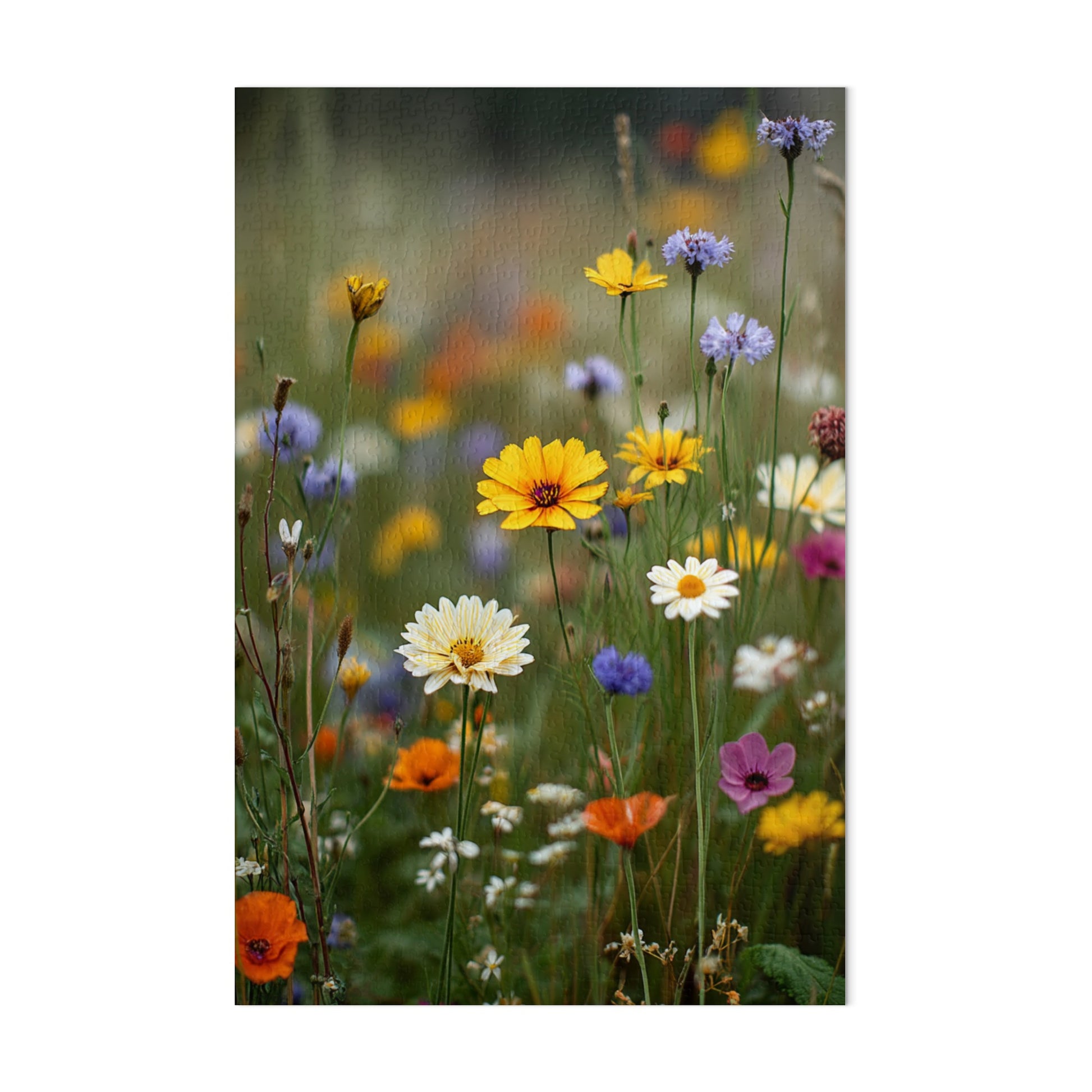 Vibrant Wildflower Field With Various Blooming Colors Canvas