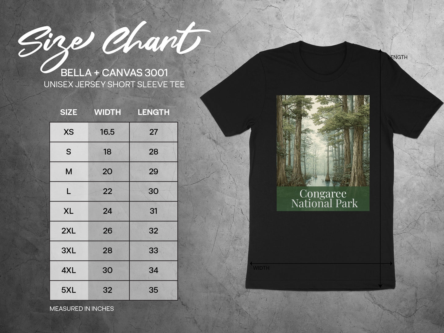 Scenic Congaree National Park Graphic Tee