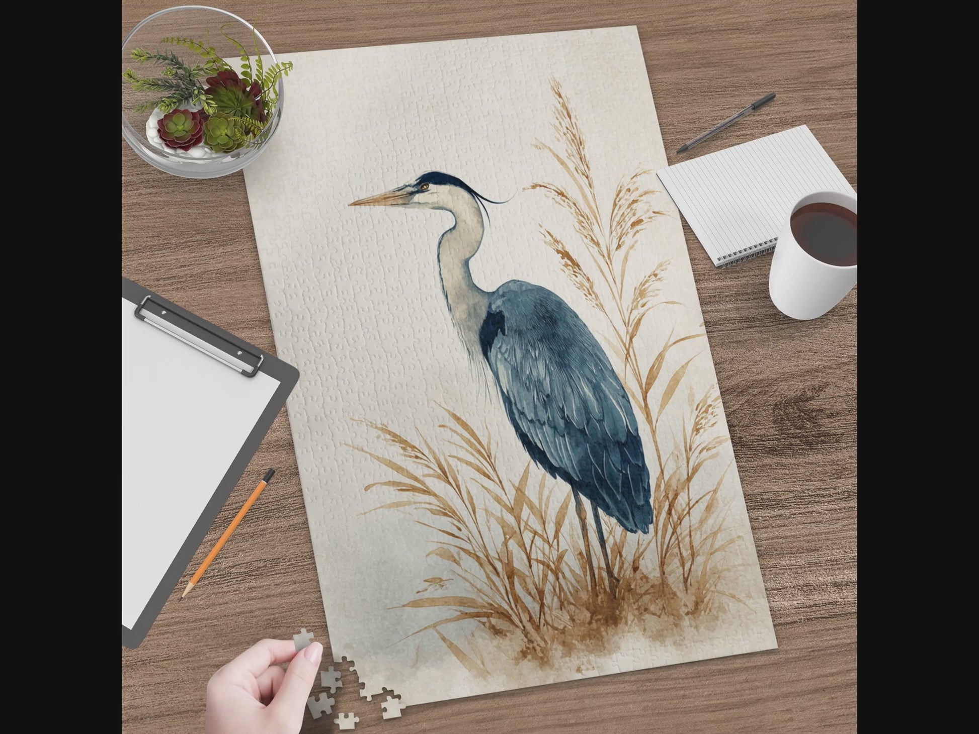 1bda0691-c696-4538-ac19-0a714ebf0d46